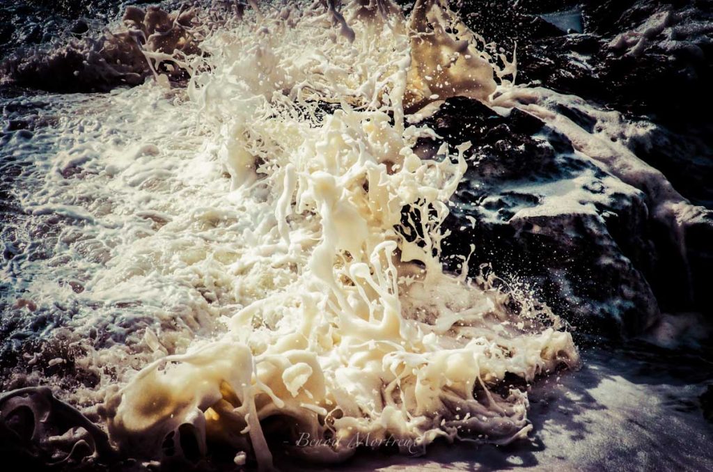 écume de mer